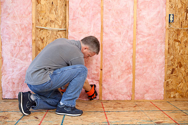 Best Residential Insulation in Bushyhead, OK
