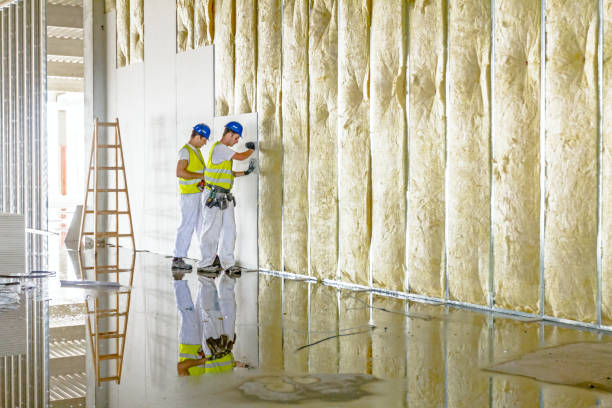 Best Specialty Insulation in Bushyhead, OK